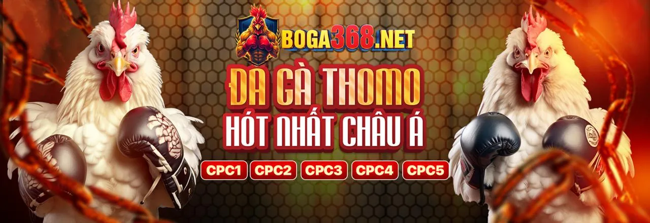 Đấu gà trực tuyến kịch tính tại abc8 nhà cái
